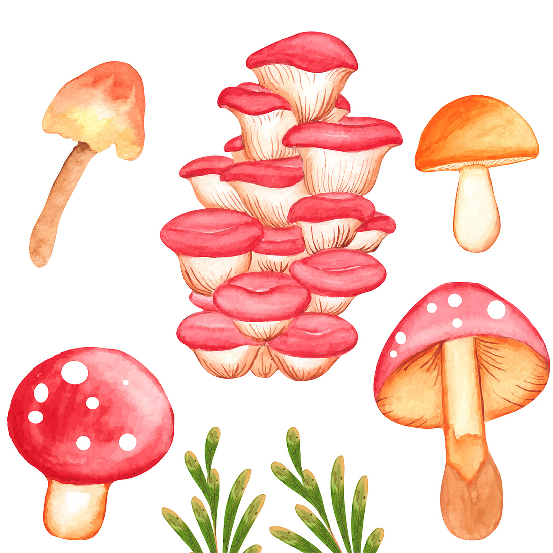 Watercolor Mushroom Clipart Set cover image.