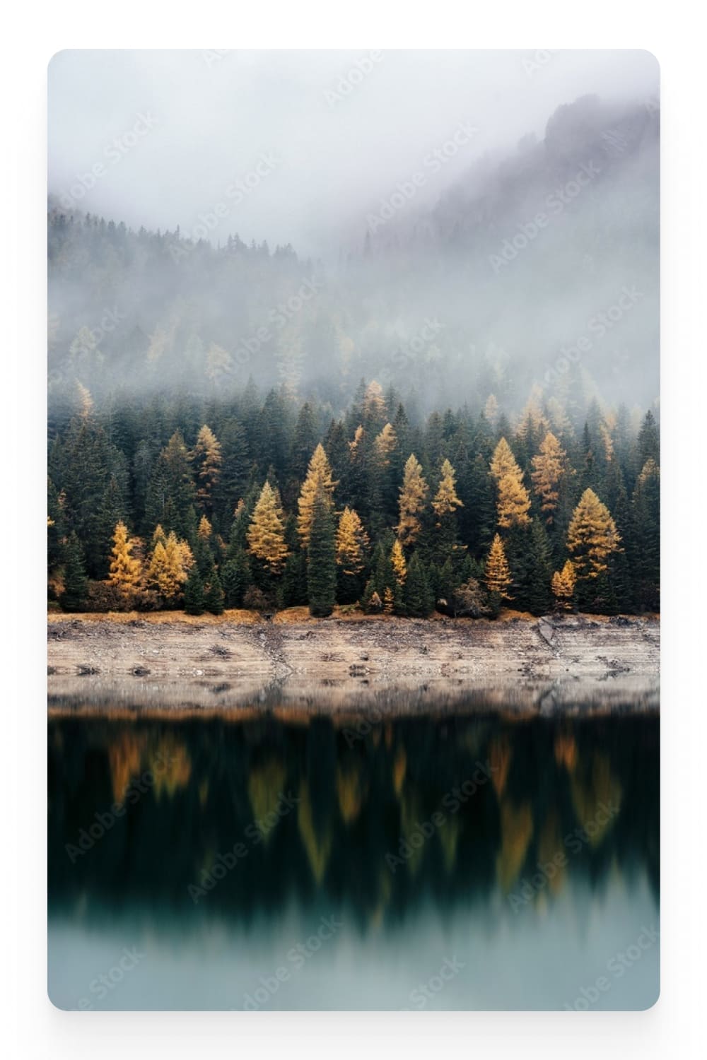 Photo of the lake, shore and colorful fir trees.