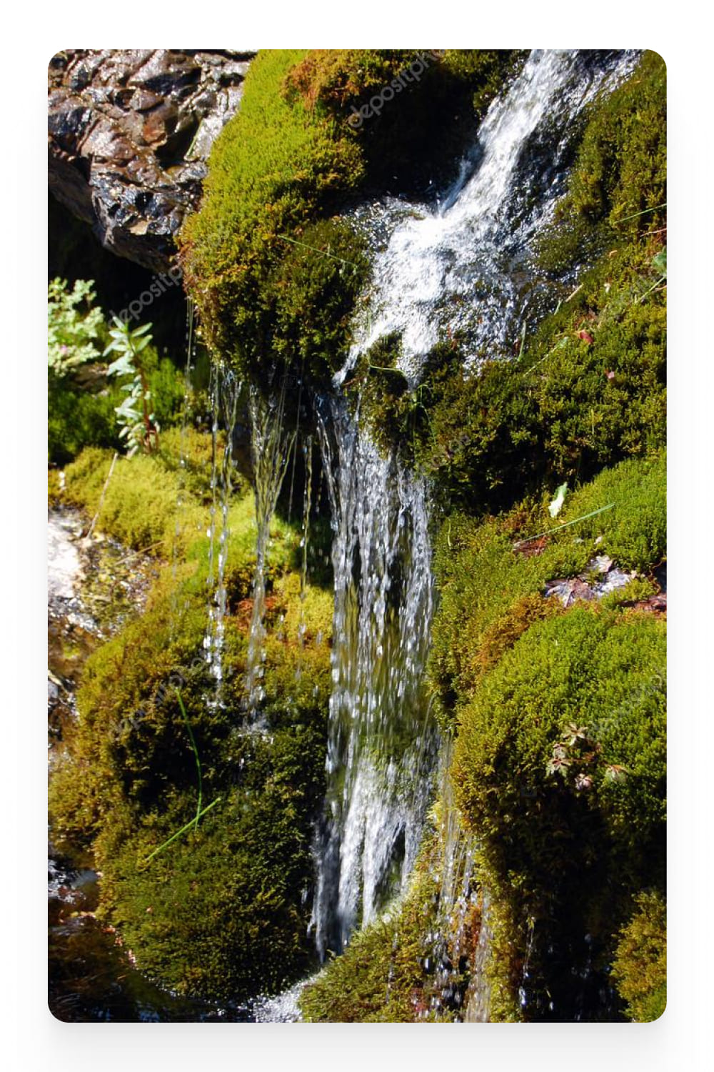 Photo of a small waterfall between moss.