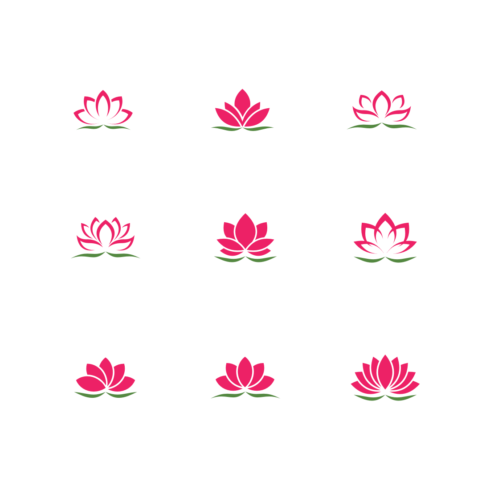 Set Lotus Flower main cover