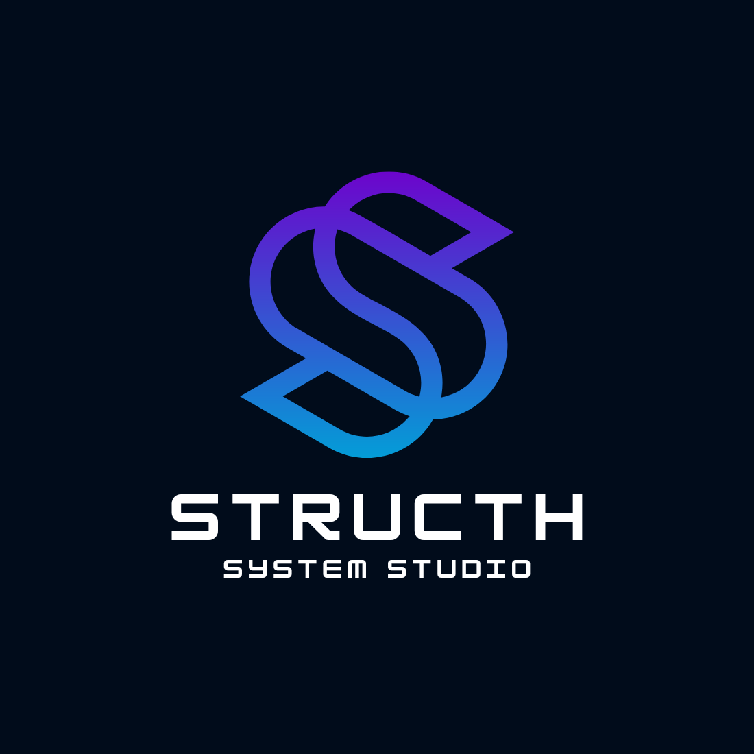 Premium Business Logo Designs Bundle Structh example.
