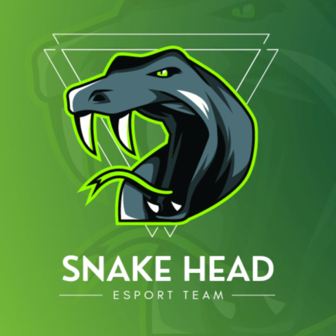 Snake Head Mascot & Esport Logo main cover.