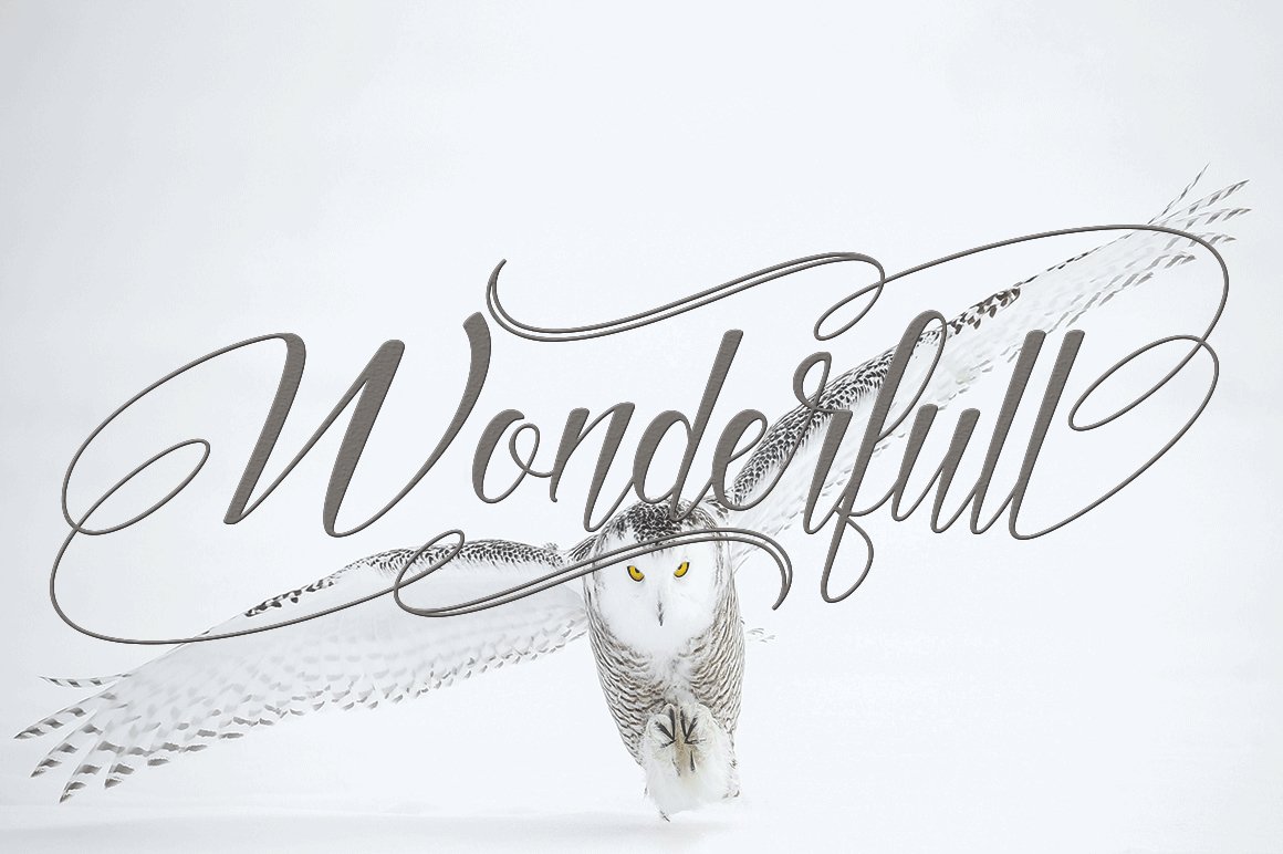 Gray calligraphy lettering "Wonderfull" on the background of owl.