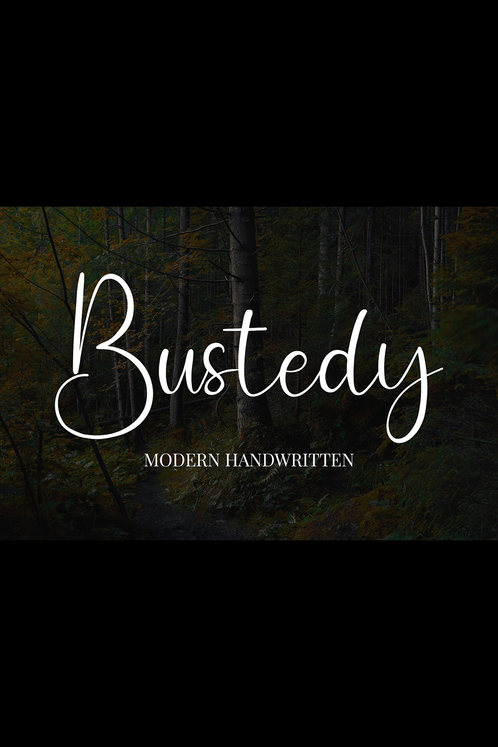 An image with text showing the irresistible Bustedy font