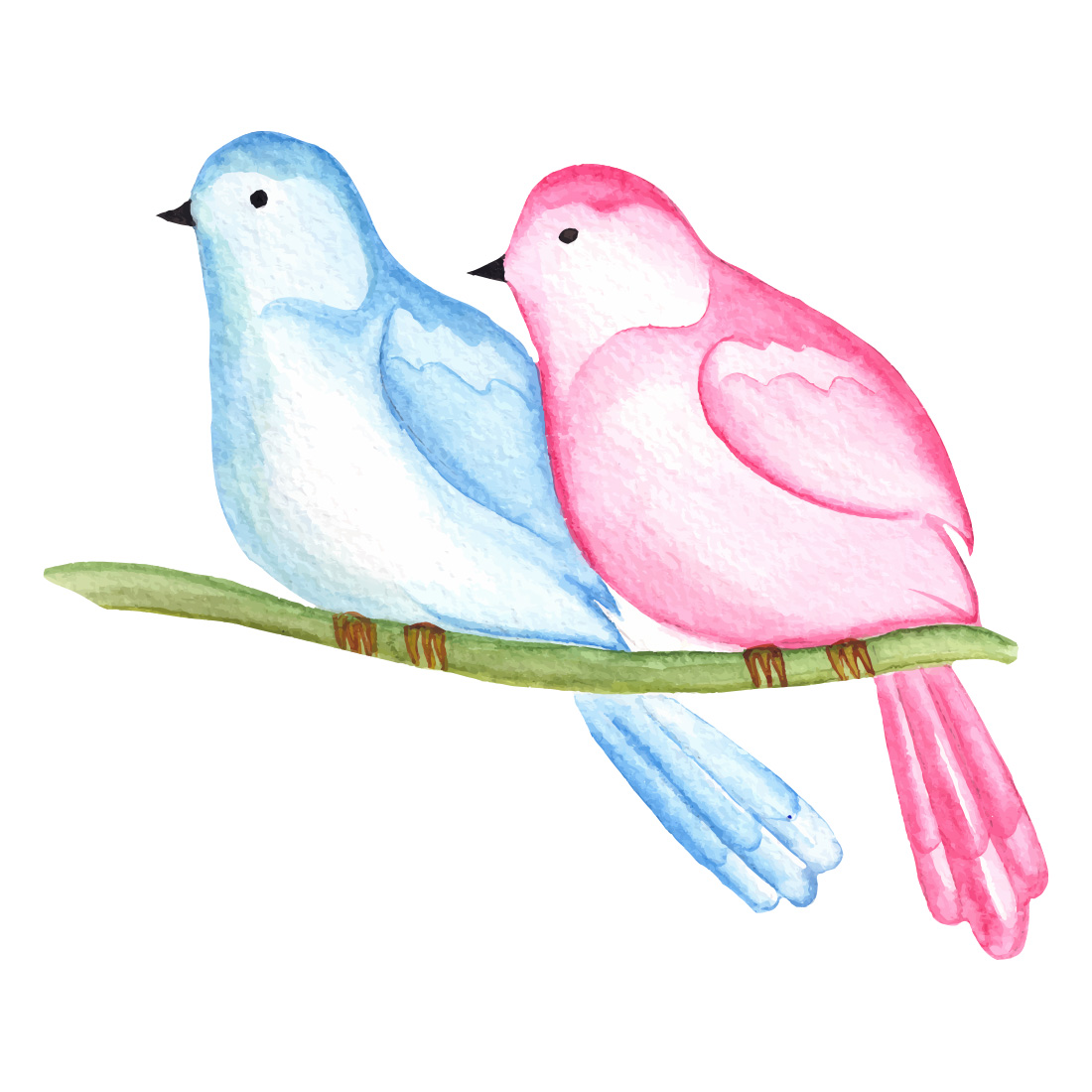 Two cute birds on a branch.