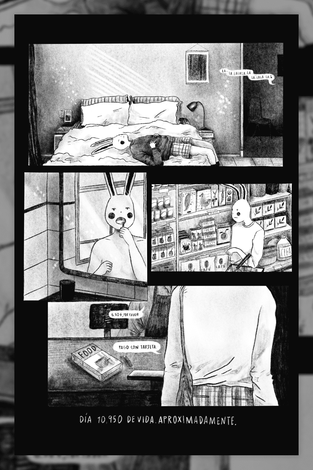 Collage with drawings of rabbit's life.
