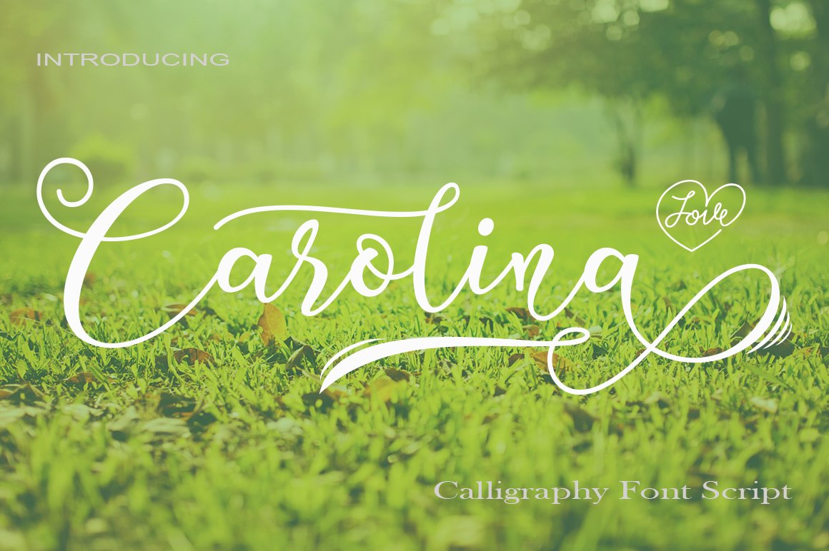 Cover with white lettering "Carolina" on the background of grass.