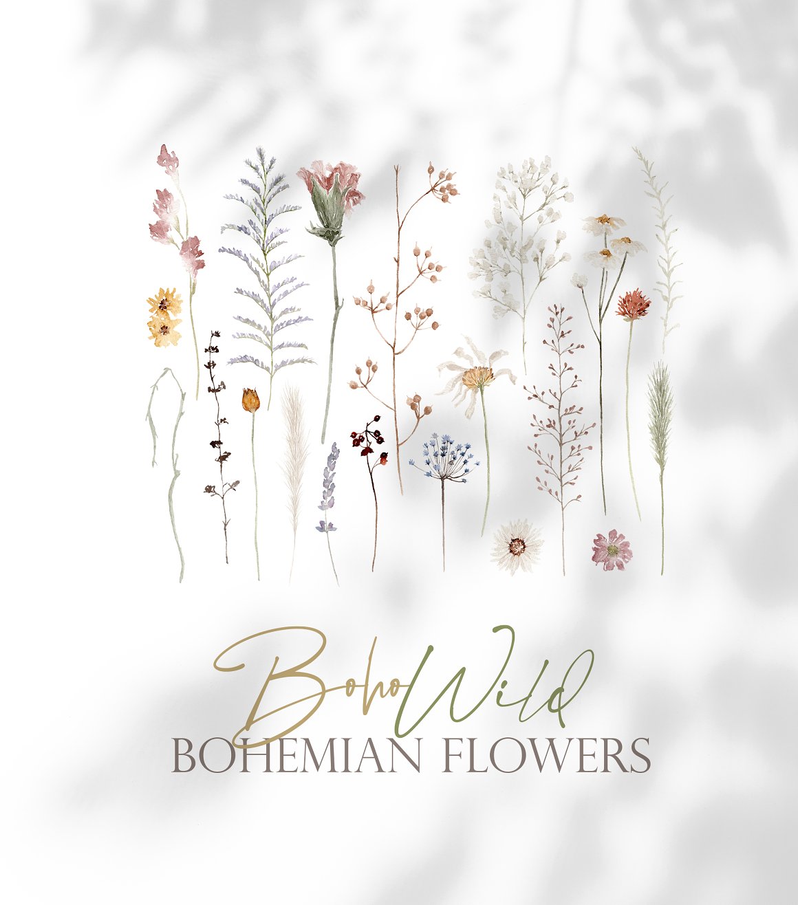 Lettering "Boho Wild Bohemian Flowers" and floral illustration on a gray background.