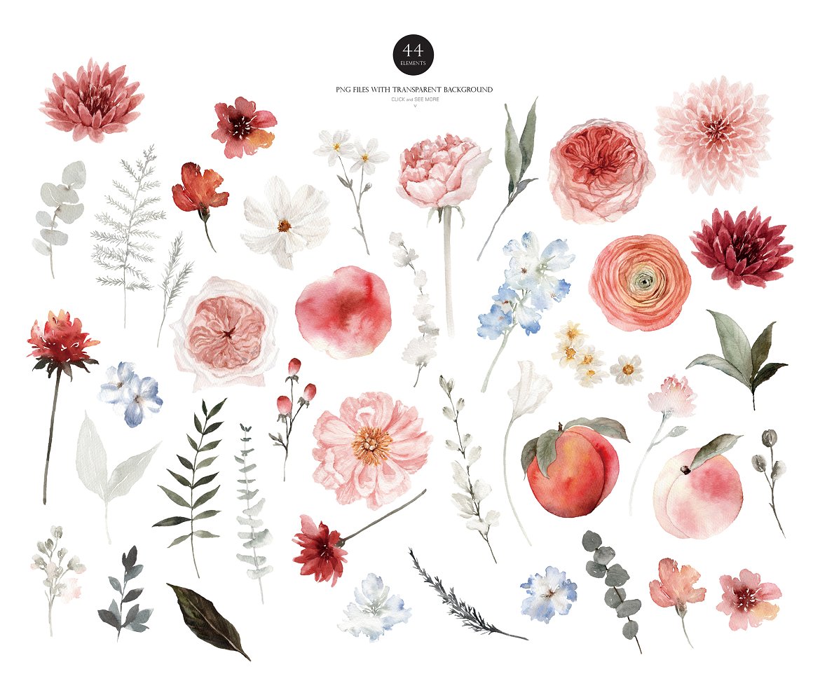Clipart of 44 different watercolor flower and peach illustrations.