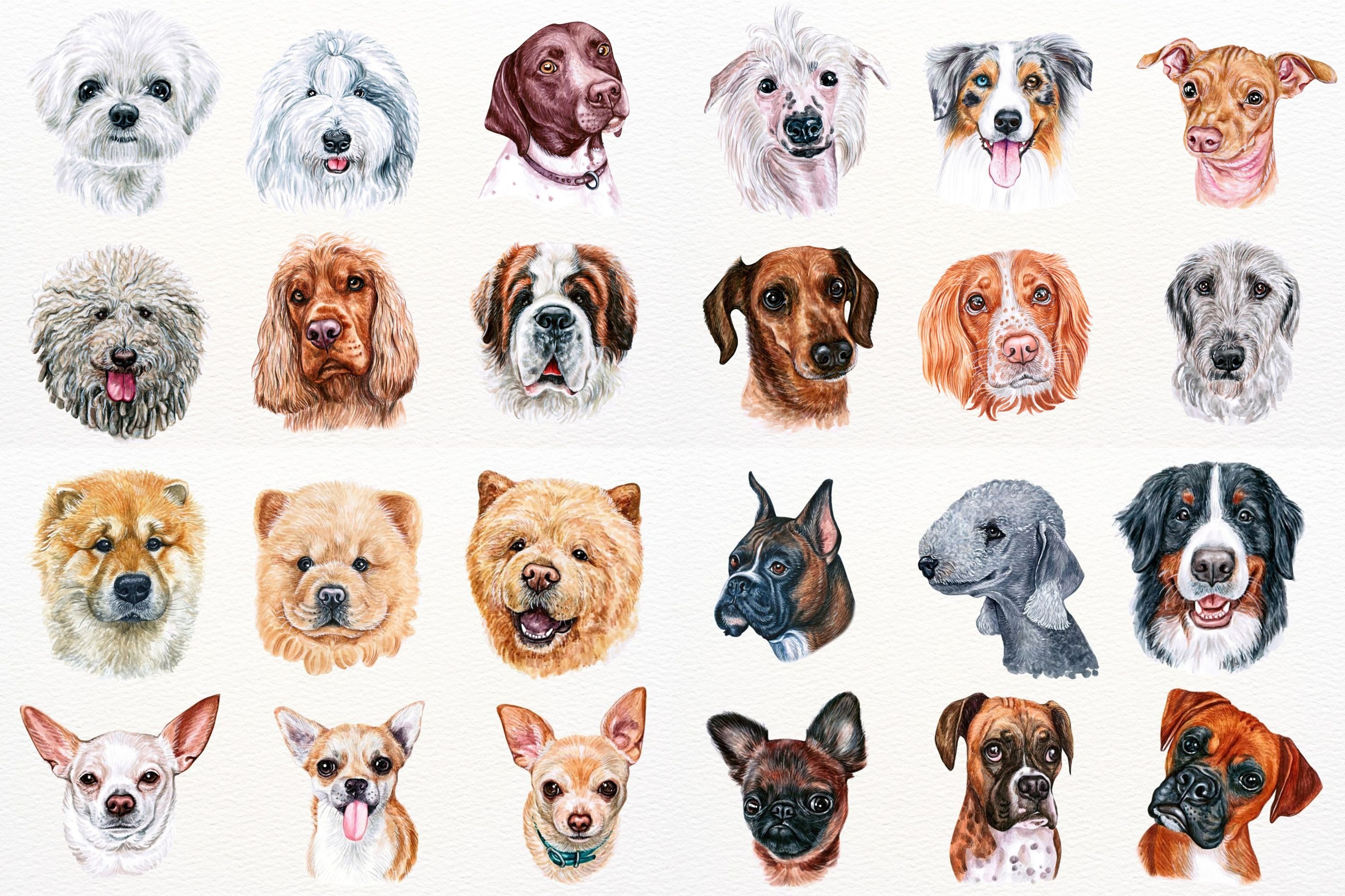So cute dogs collection.