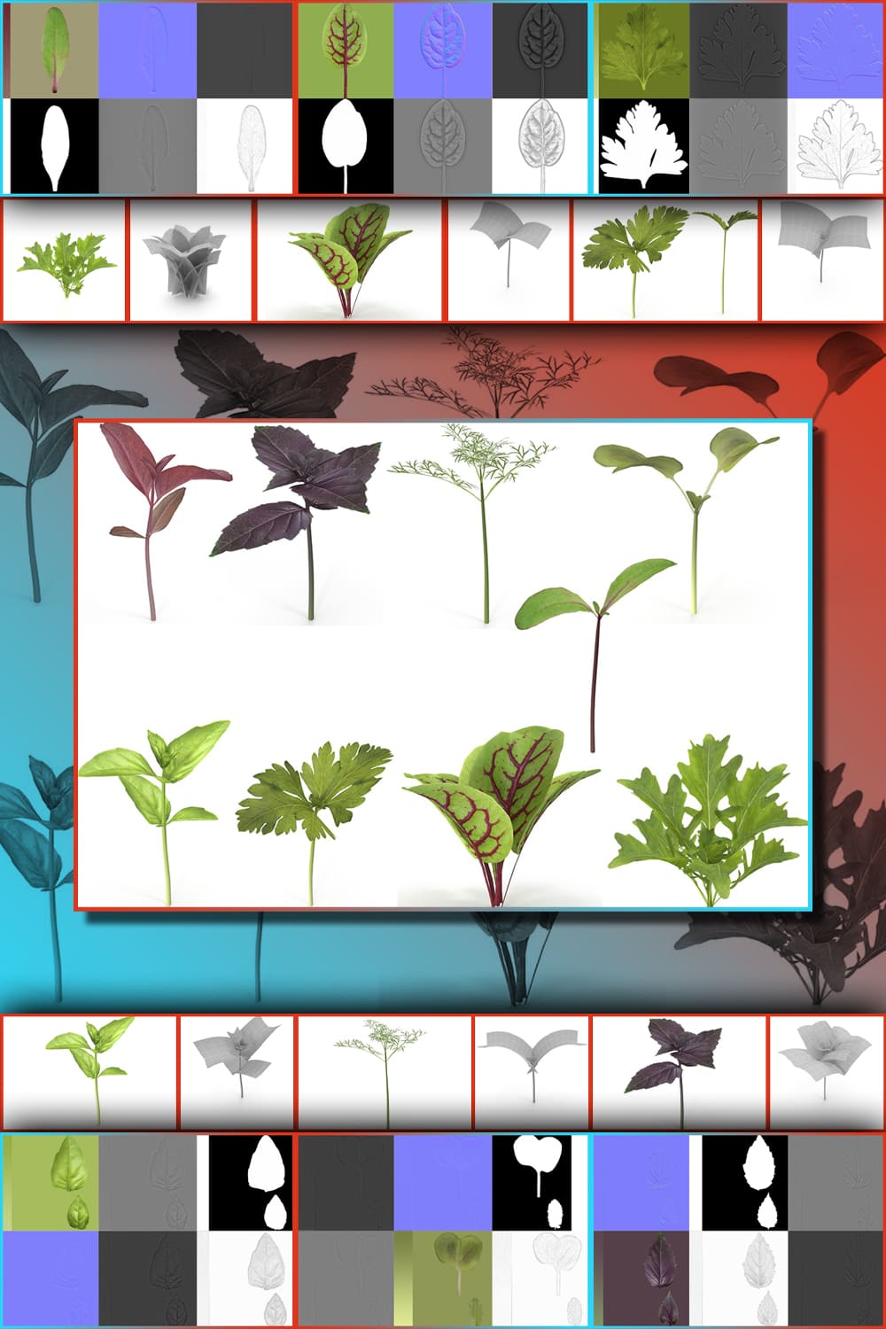 Herbs set pinterest image preview.