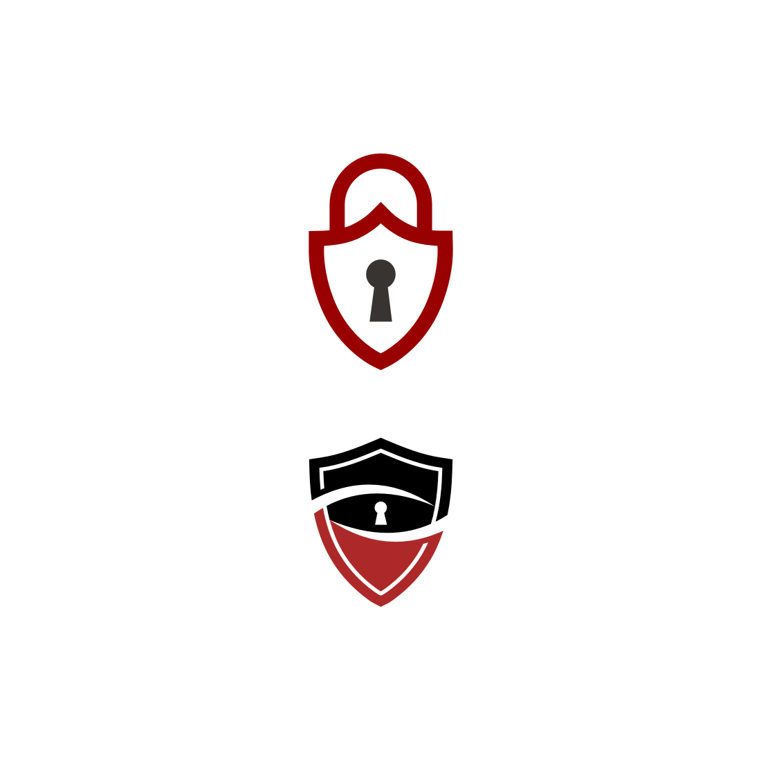 Shield Key Logo Vector main image.