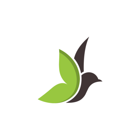 Bird Logo Vector main cover.