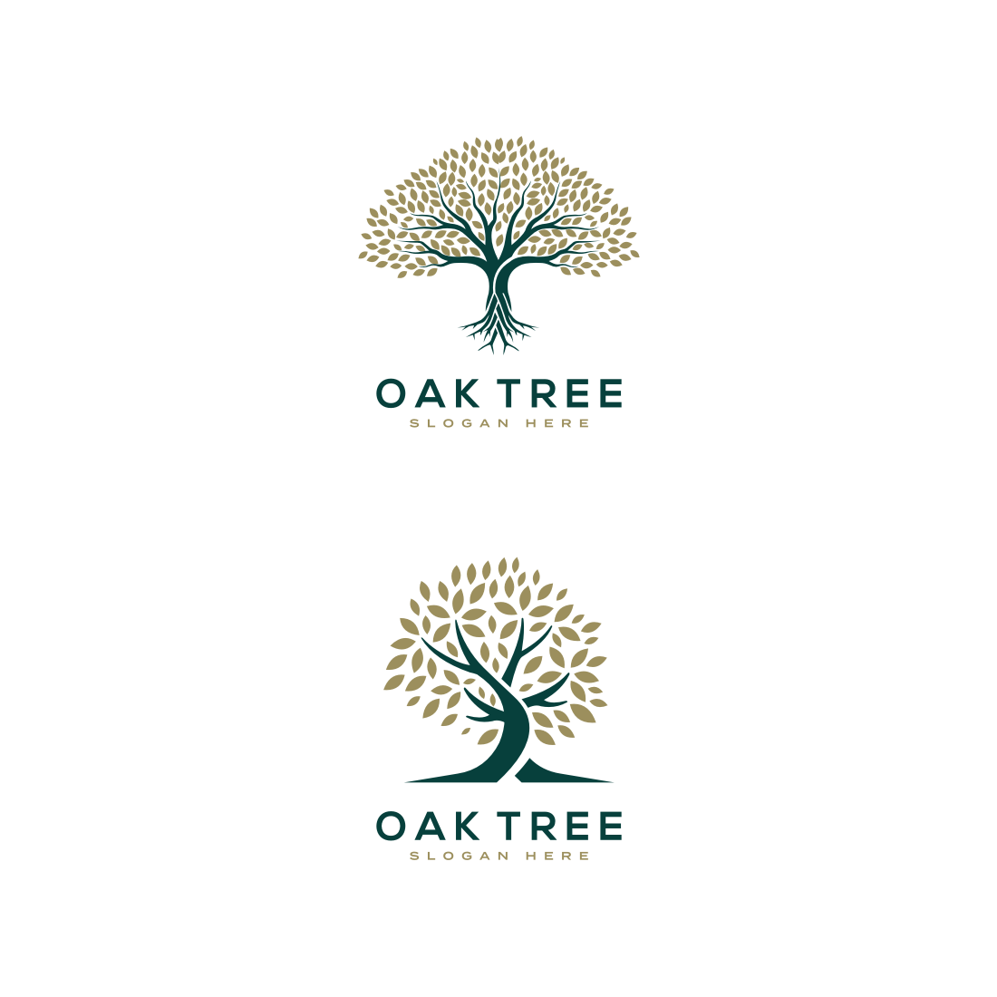 Oak Tree Logo Vector.
