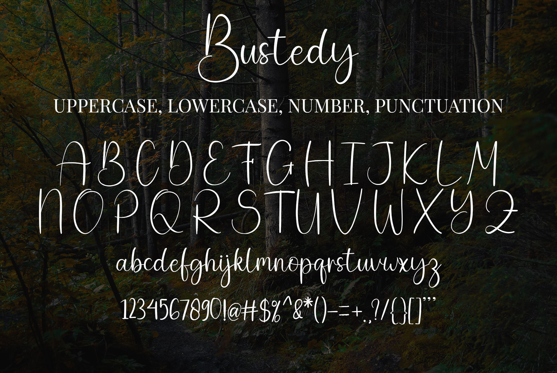 Image with symbols and letters of enchanting font Bustedy