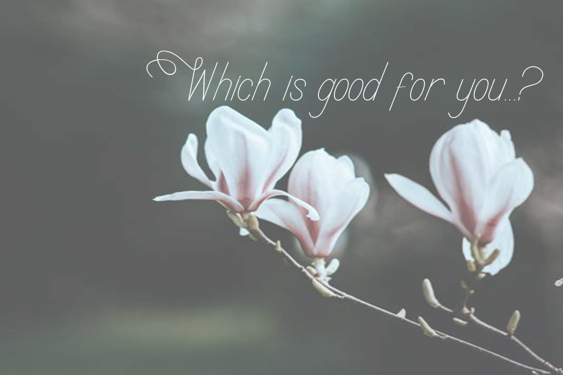 White question in calligraphy font on a flowers background.