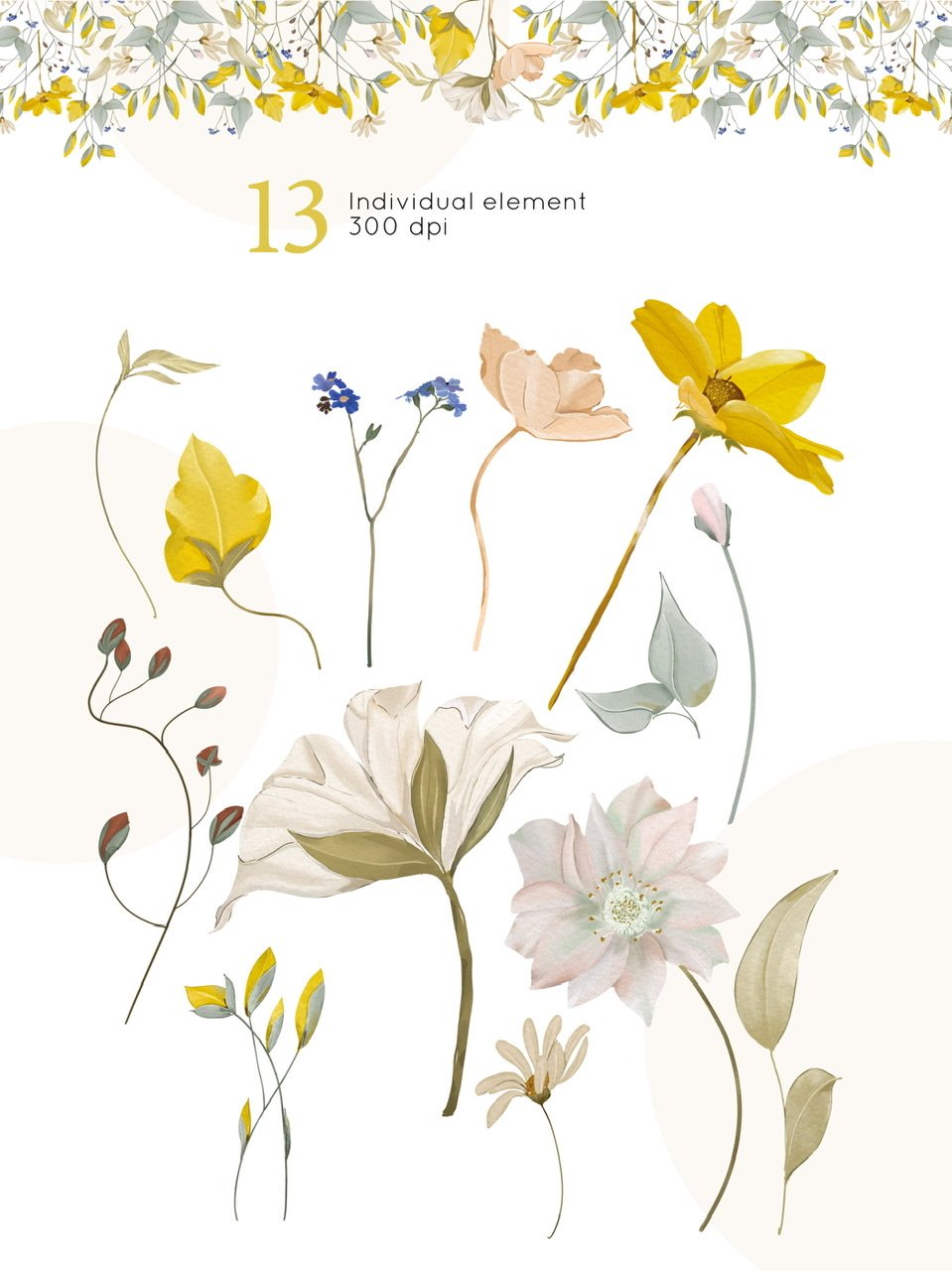 Clipart of 13 different individual floral elements.