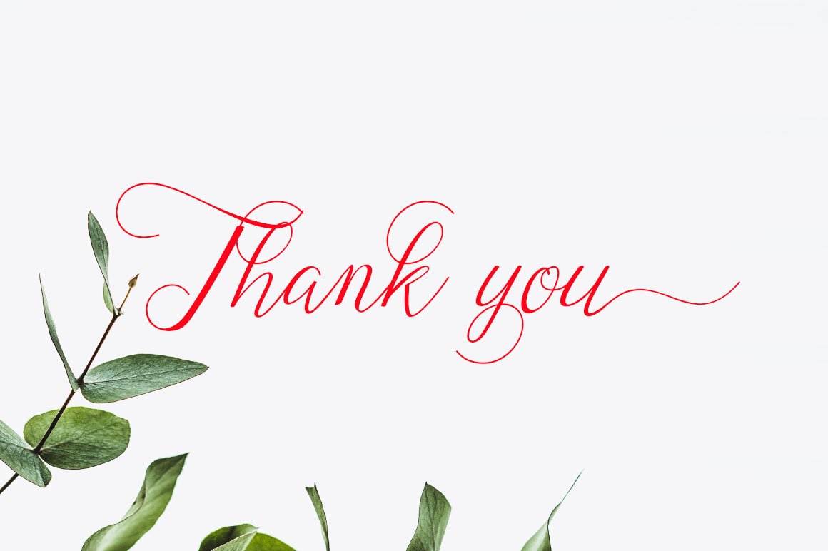 Red lettering "thank you" in Brigadil font on a gray background.