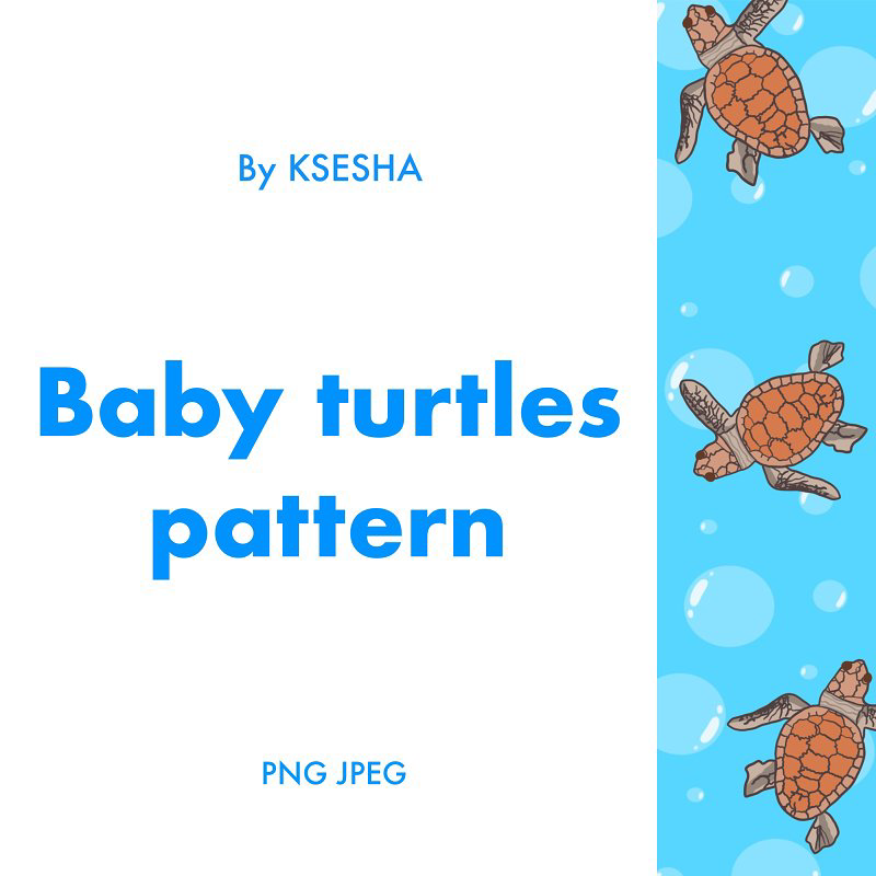 Baby turtles pattern main cover.