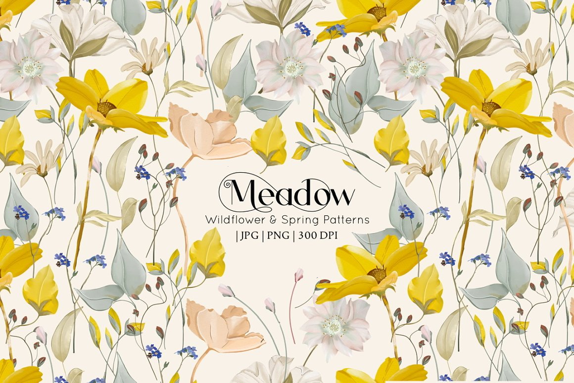 Cover with black lettering "Meadow Wildflower & Spring Patterns" and different meadow flowers ilustrations.