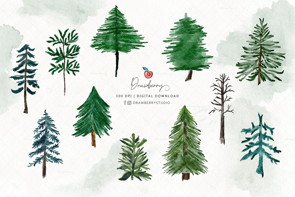 A set of different christmas tree illustrations.