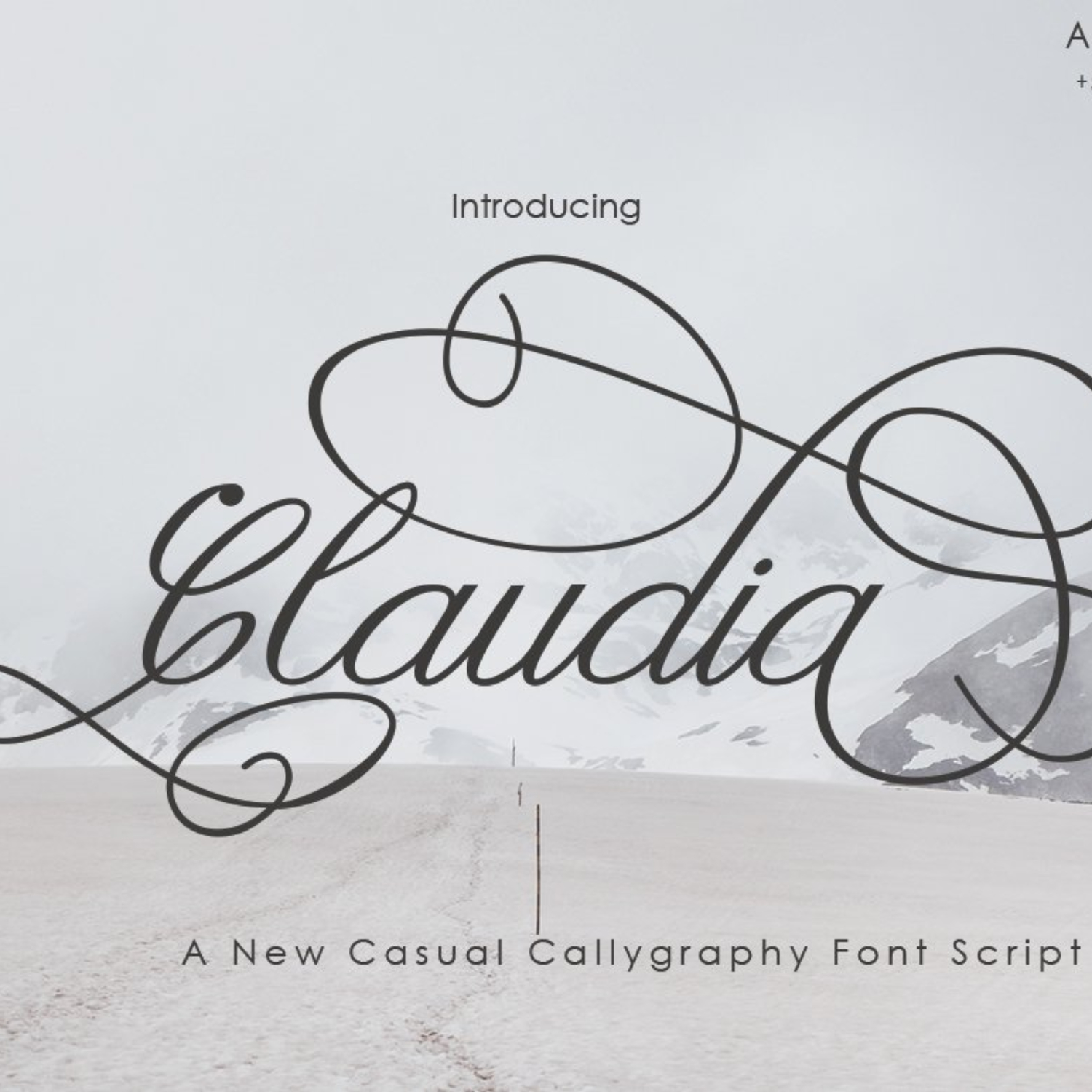 Claudia Calligraphy.