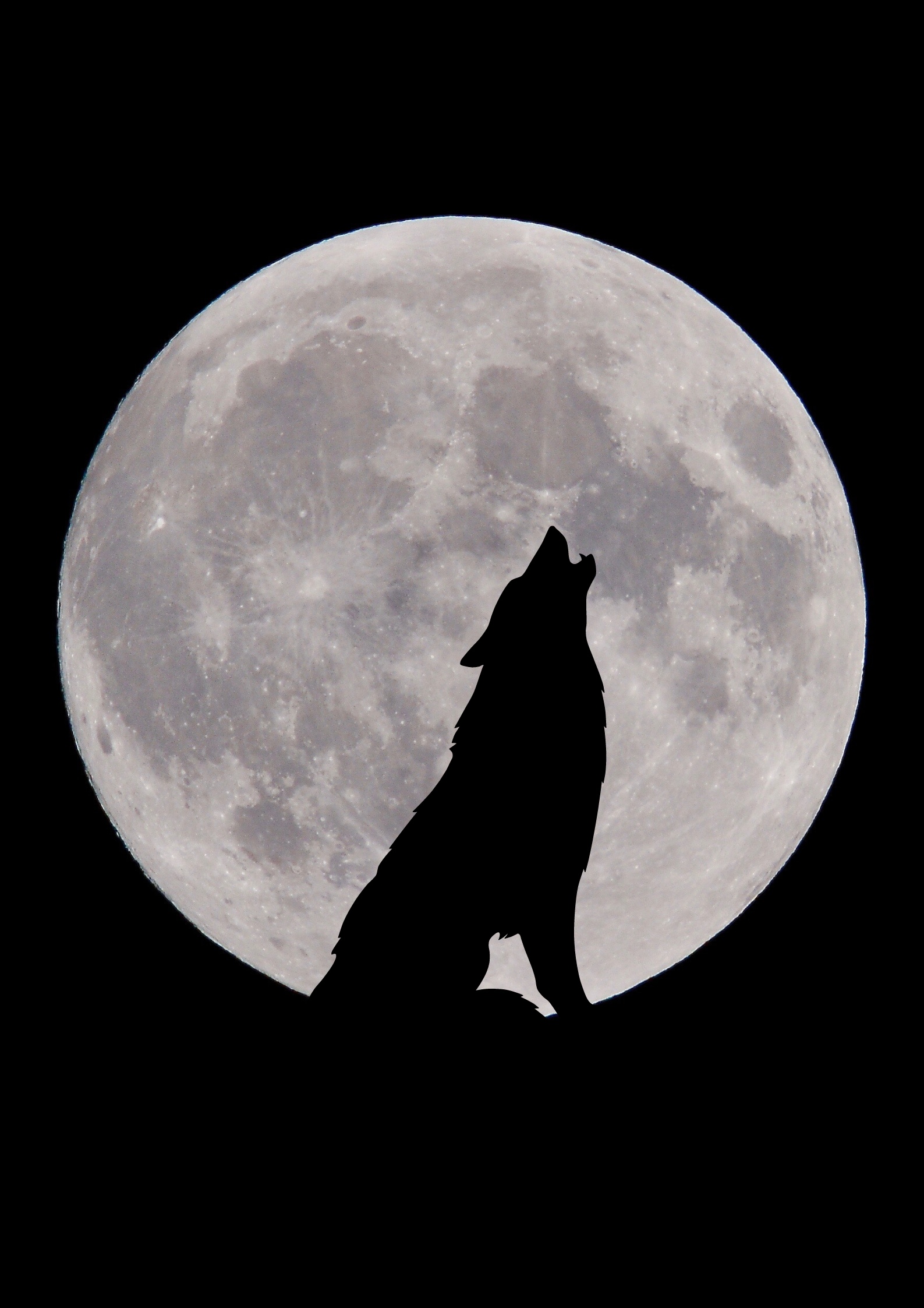 A wolf and moon.