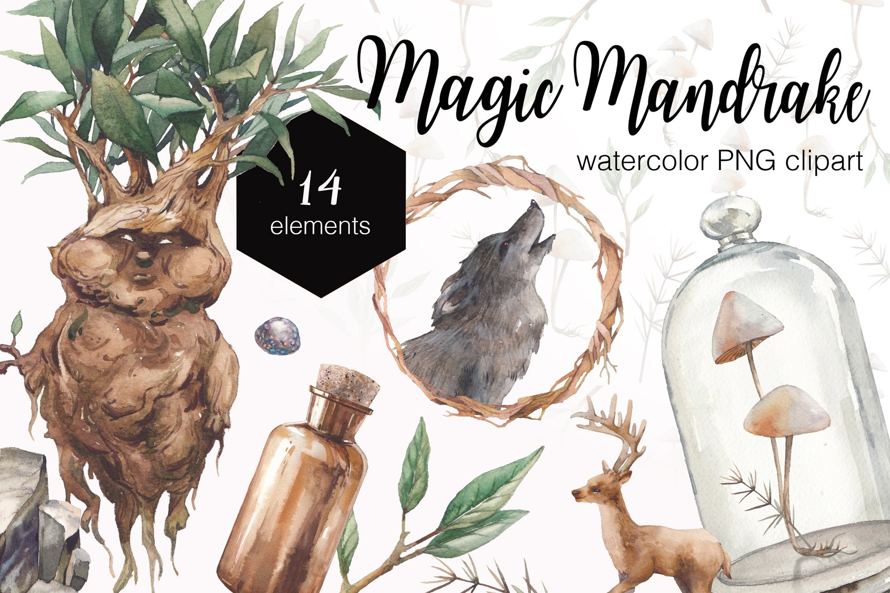 Cover image of Magic Mandrake.