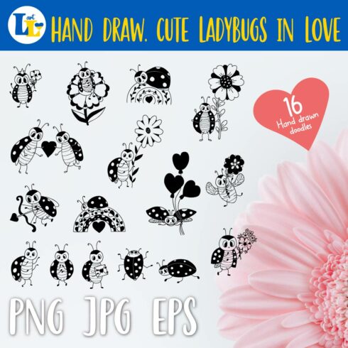 Cute in Love Insect Ladybug | Hand Drawn Doodle | 16 Digital Doodles.