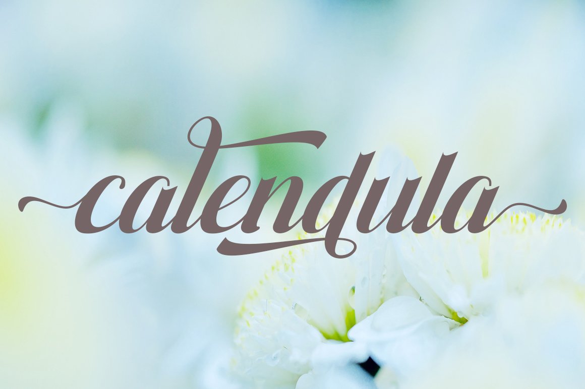 Gray "calendula" lettering in Amania font.