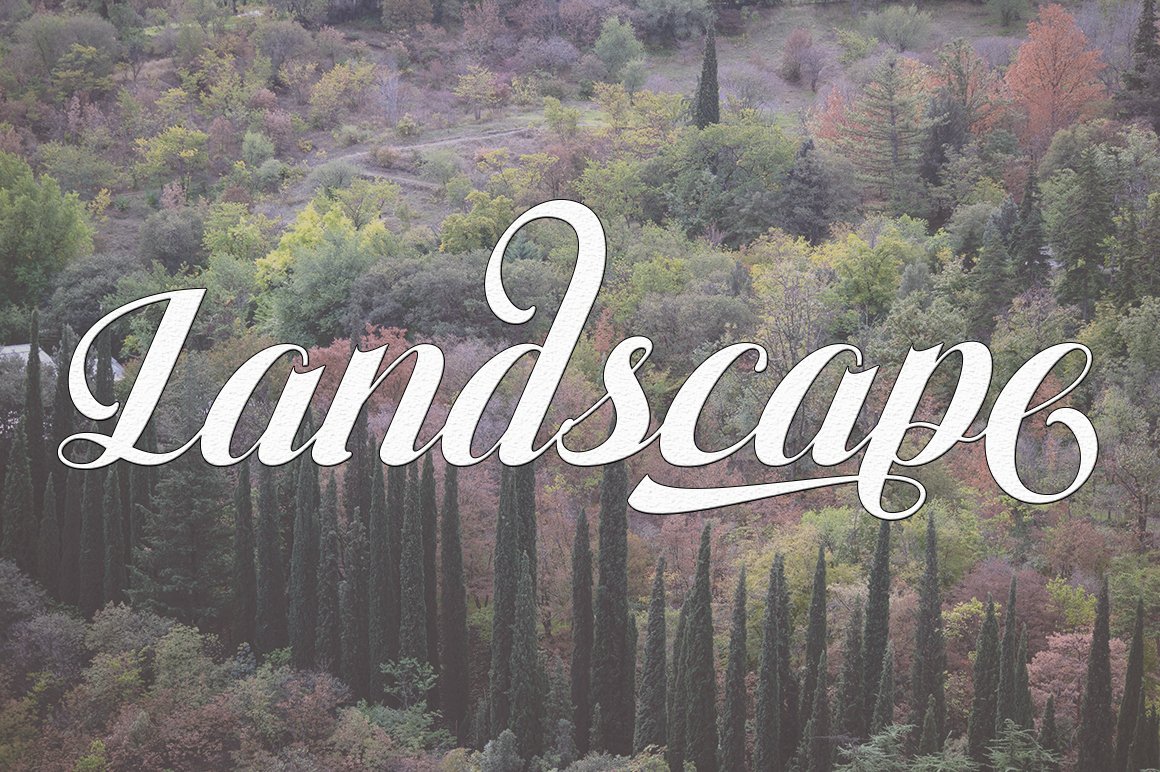 White "Landscape" lettering with black stroke on the forest background.