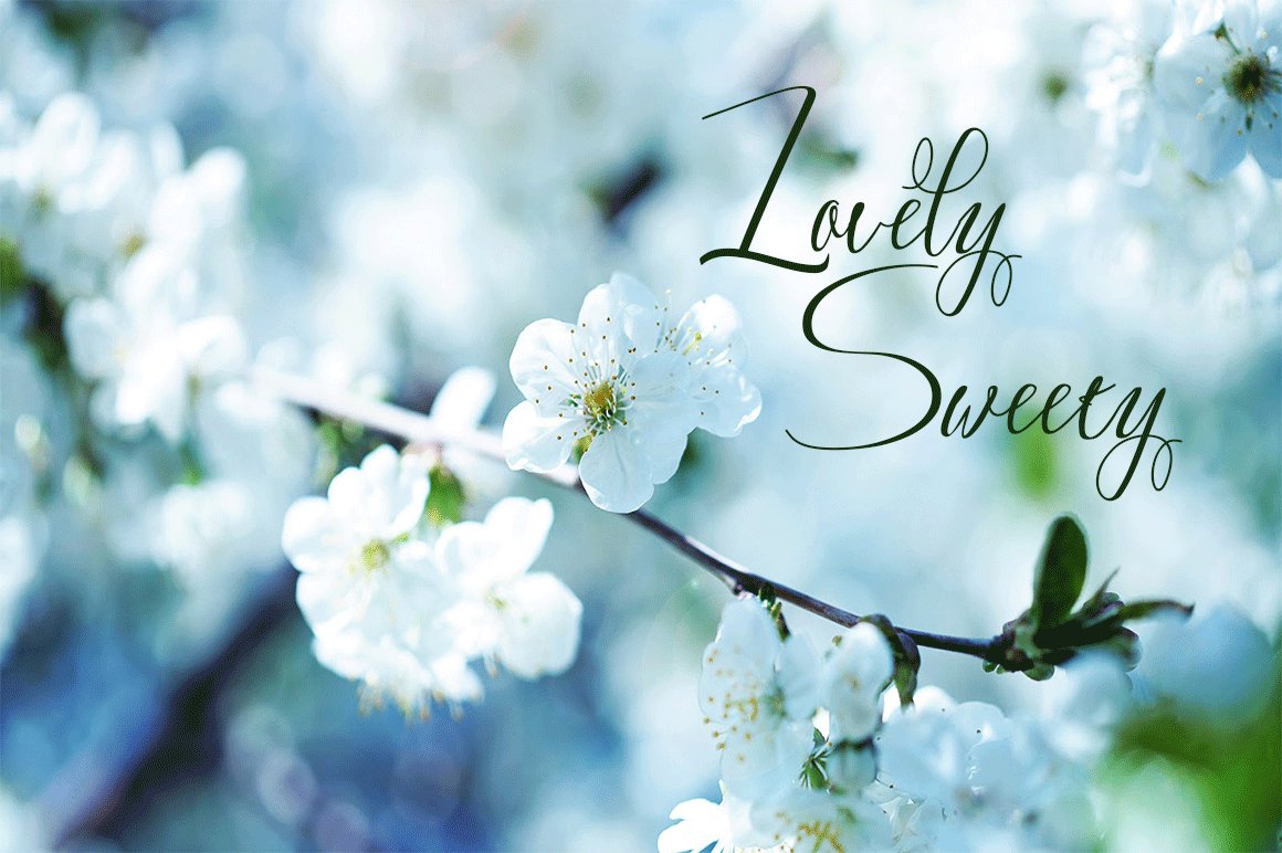 Black calligraphy lettering "lovely sweety" on the background of flowers.