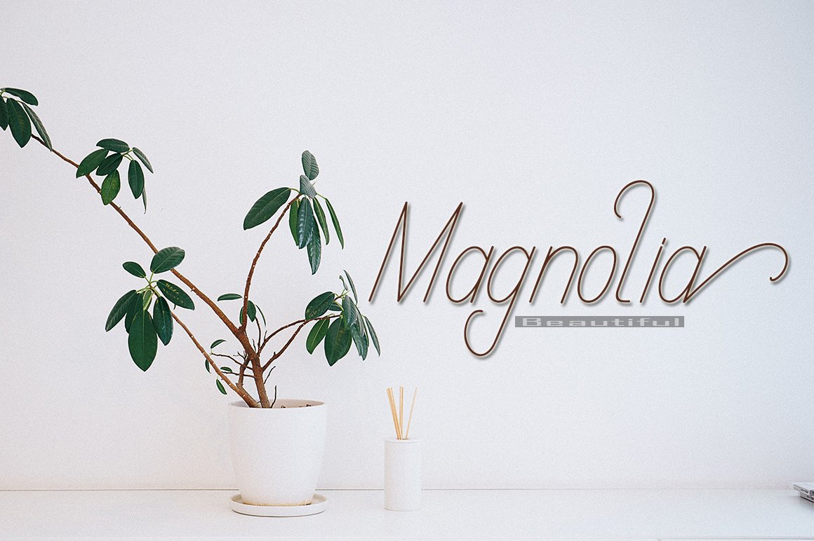 Brown calligraphy lettering "Magnolia" with white stroke.