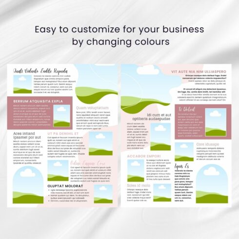 Instant Download Canva Newsletter Template For Businesswomen and ...