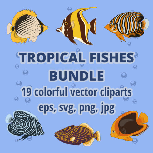 Pack of colorful images with tropical fish