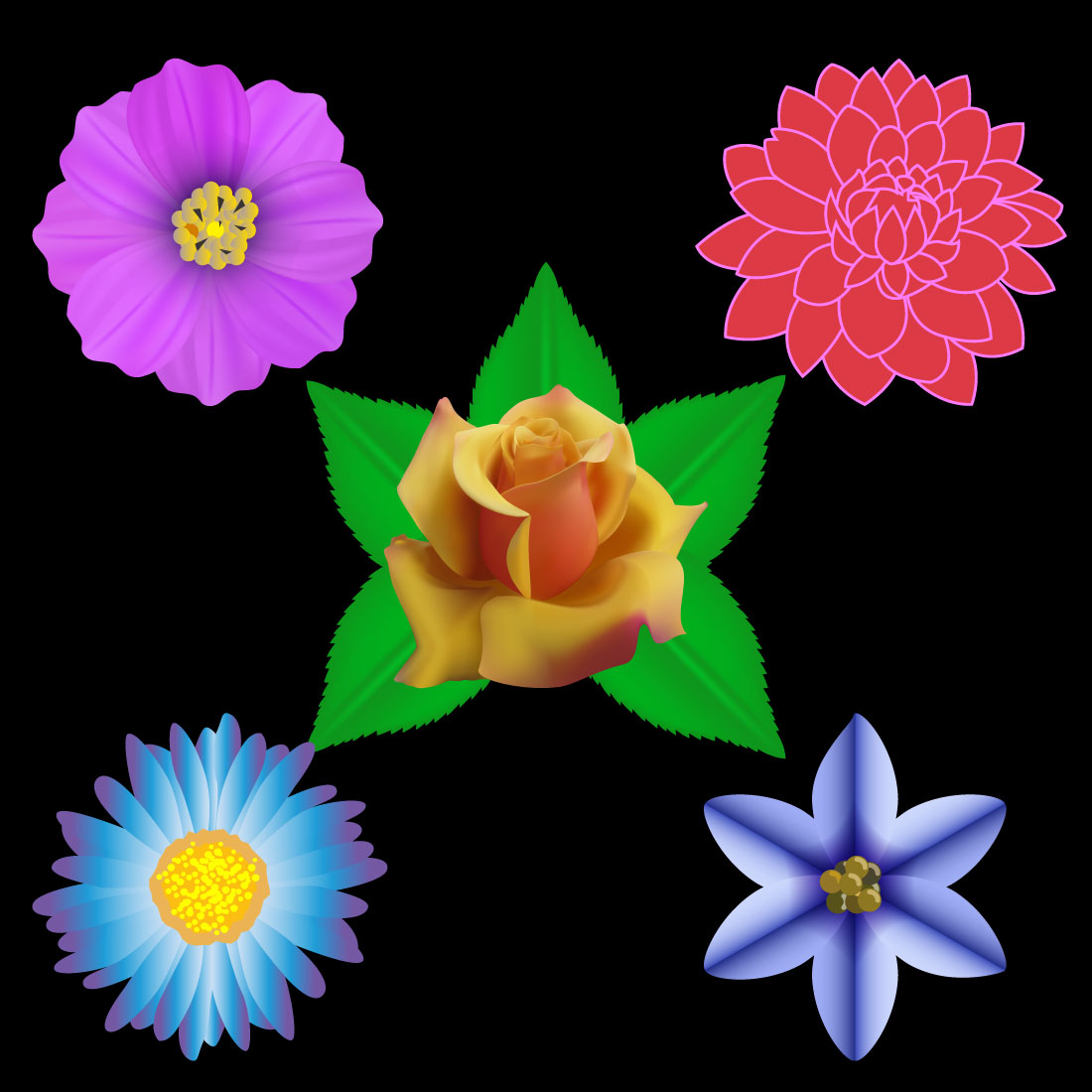 Botanic Flower Collection Graphics Design cover image.