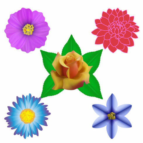 Flower Collection Vector Design cover image.