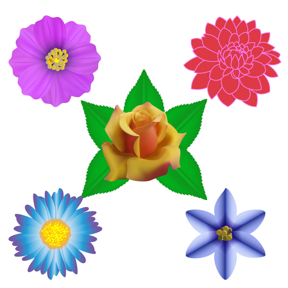 Flower Collection Vector Design cover image.