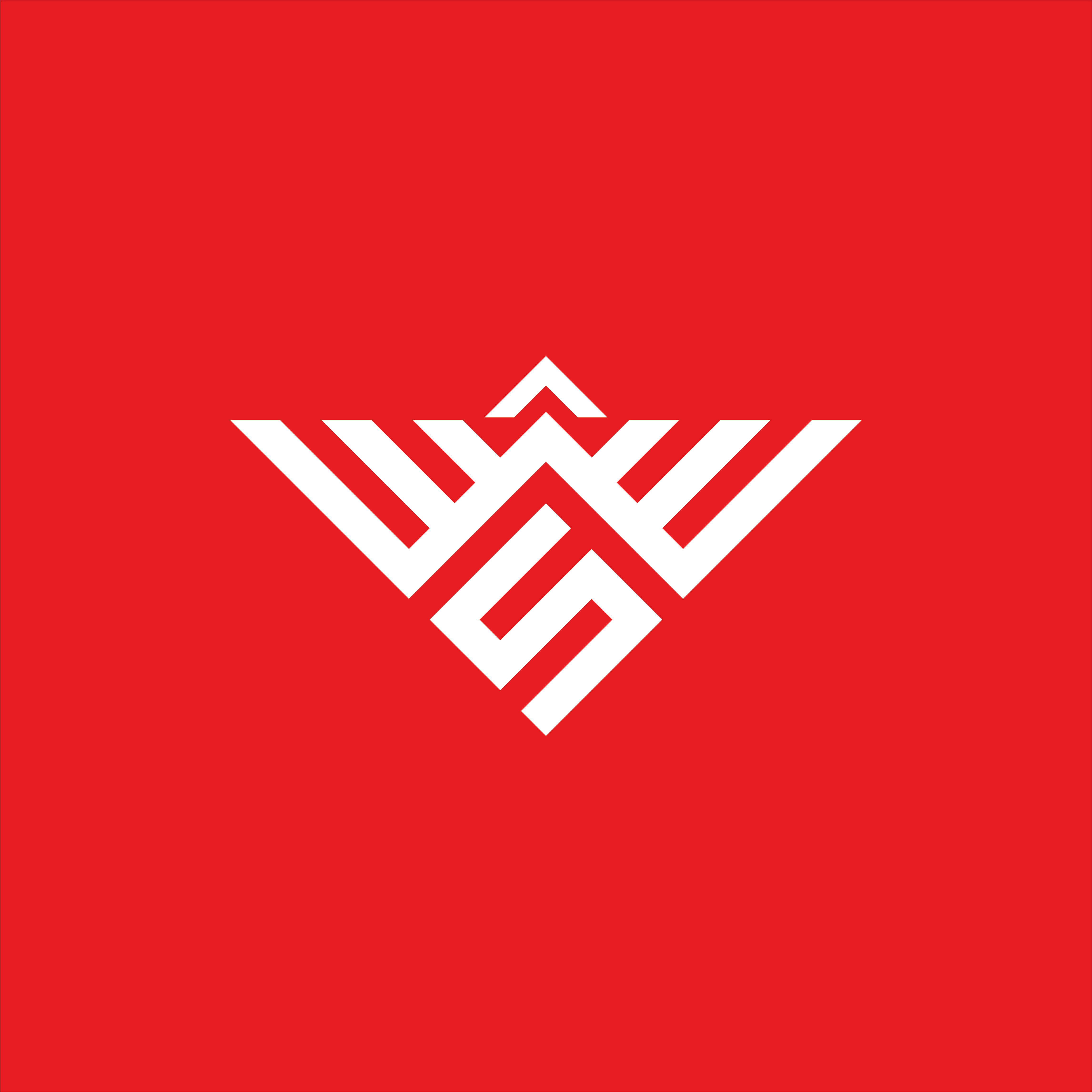 Monogram logo design preview image.