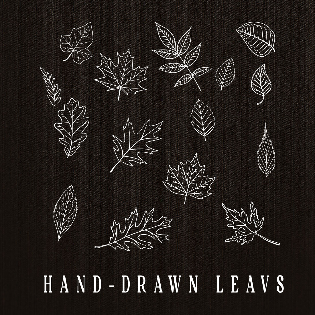 Hand Drawn Elements Vector – Camping and Hiking Elements – Hard Drawn Leaves cover image.