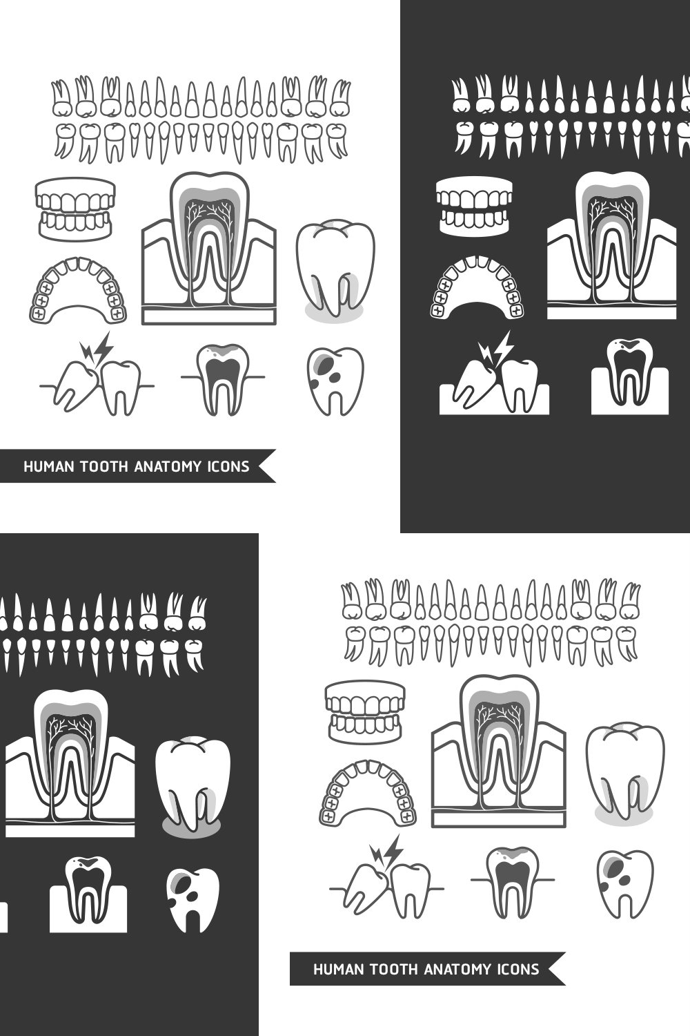 human tooth anatomy icons set. pinterest. 868