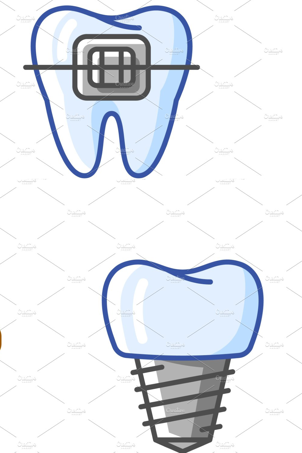 illustrations of tooth. dentistry 709