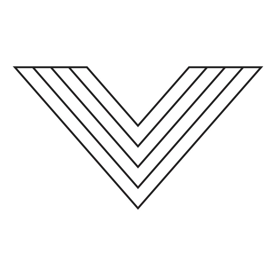 V Letter Creative Logo Bundle cover image.