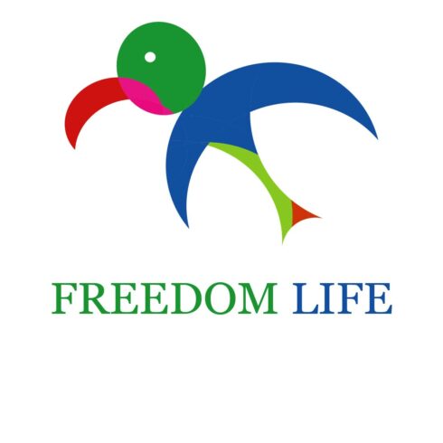 Freedom of Life main cover.