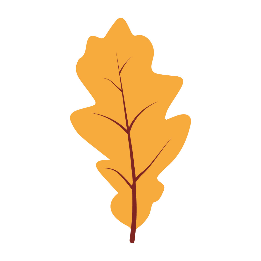 Autumn Leaves Yellow Design Bundle Vector preview image.