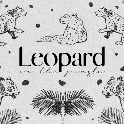 Leopards In The Jungle main cover.