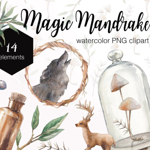 4 Mandrake Png Designs e Gráficos