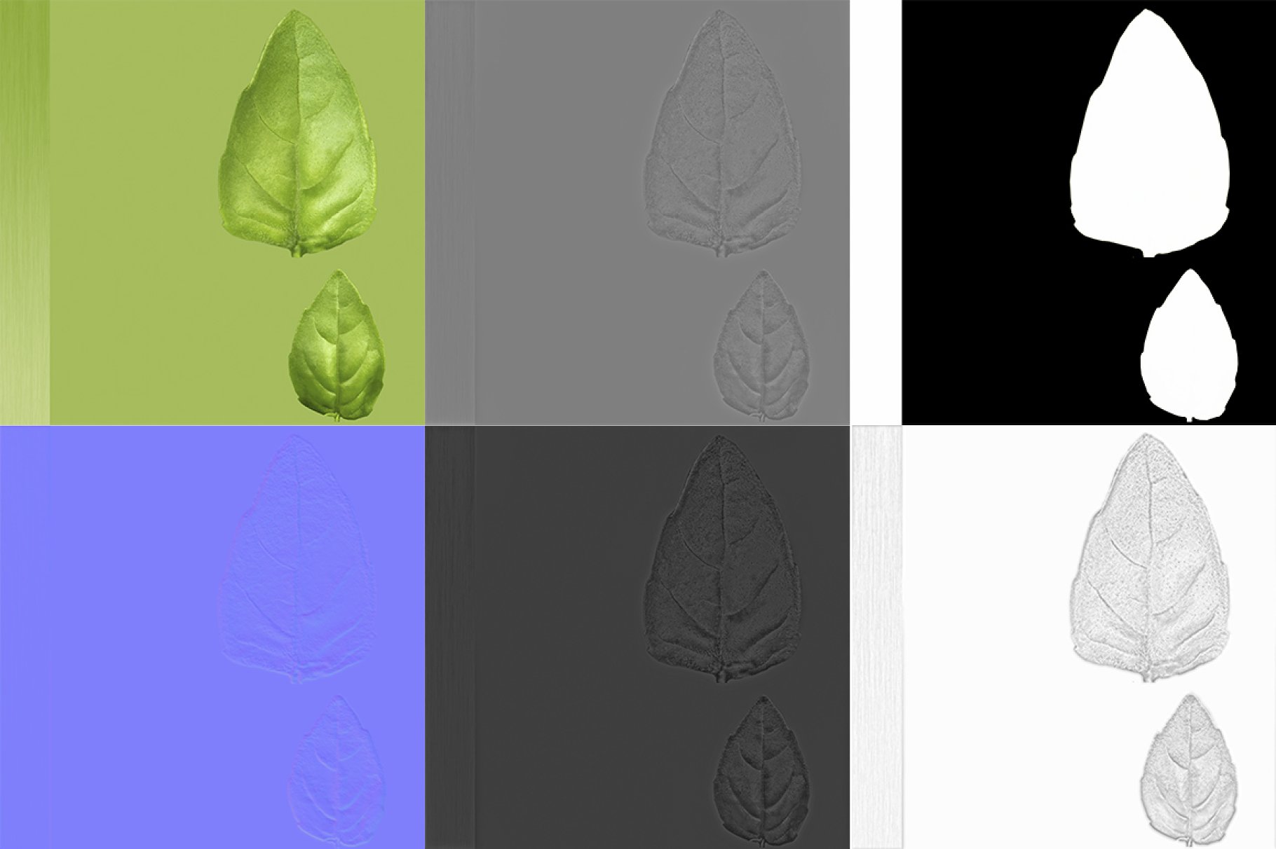 Herbs Set colorful maps preview.