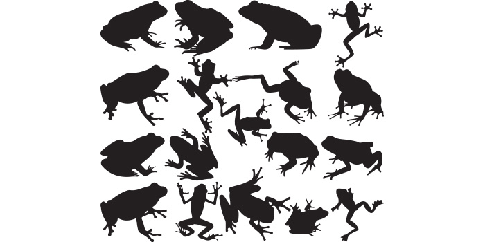 Collection of frog silhouettes on a white background.