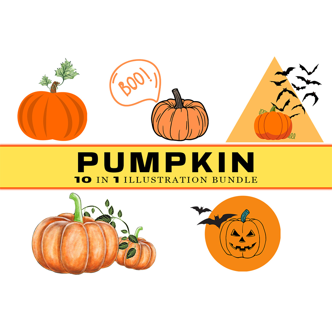 Collection of amazing pumpkin images